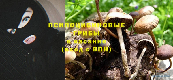 трава Абдулино