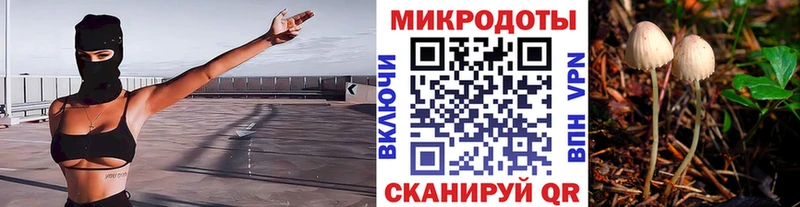 Псилоцибиновые грибы GOLDEN TEACHER закладки Шали