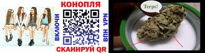 Шишки марихуана THC 21%  Шали 